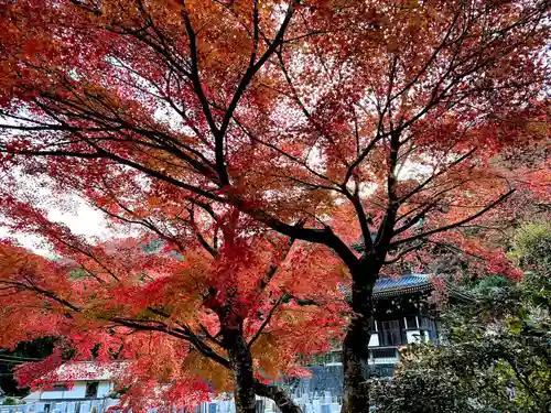 浄発願寺(神奈川県)