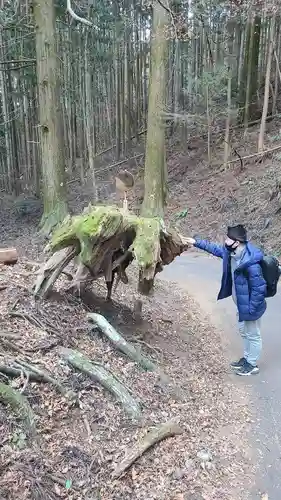 武蔵御嶽神社の自然