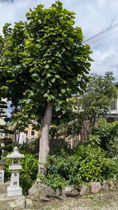 八葉峰寺の自然