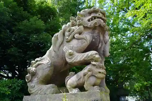 神炊館神社 ⁂奥州須賀川総鎮守⁂の狛犬