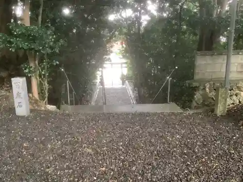 若宮八幡宮の自然