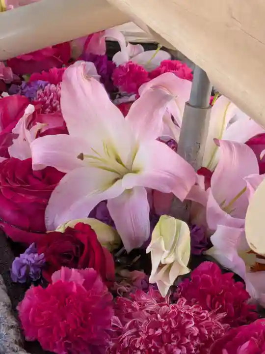鳩森八幡神社(東京都)