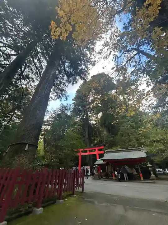 箱根神社(神奈川県)