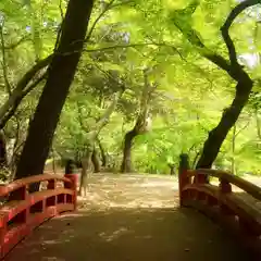 篠ｹ谷神社の建物その他