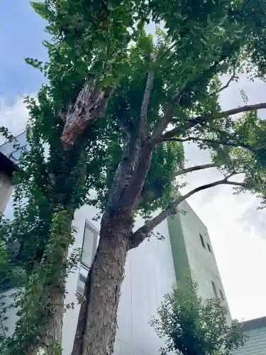 諏訪八幡神社(茨城県)