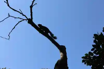 宝戒寺(神奈川県)