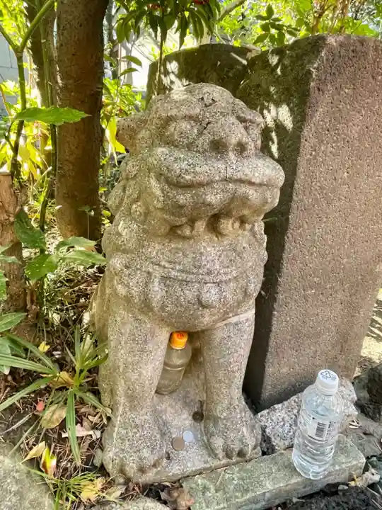 江島杉山神社の狛犬