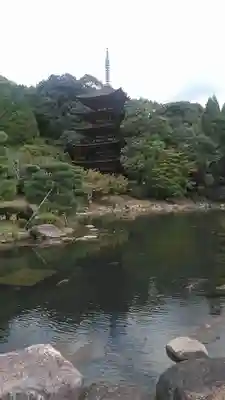 瑠璃光寺(山口県)