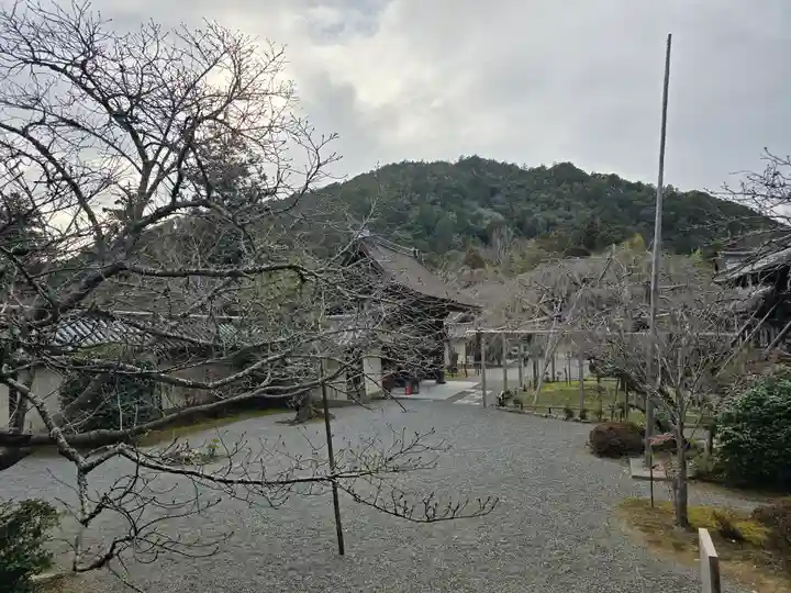 毘沙門堂門跡(京都府)