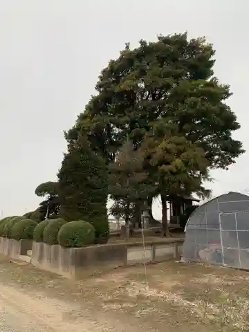 水天宮(千葉県)