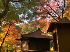 普門寺(切り絵御朱印発祥の寺)(愛知県)