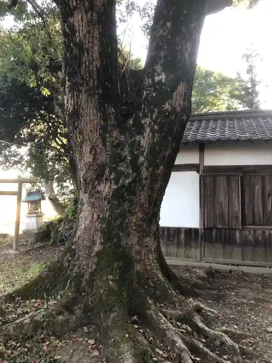 宇智神社(奈良県)