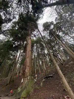 志和稲荷神社(岩手県)