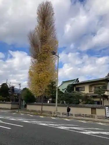 光円寺(神奈川県)