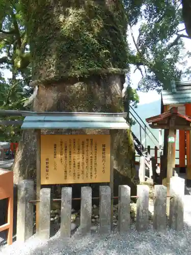 熊野那智大社(和歌山県)