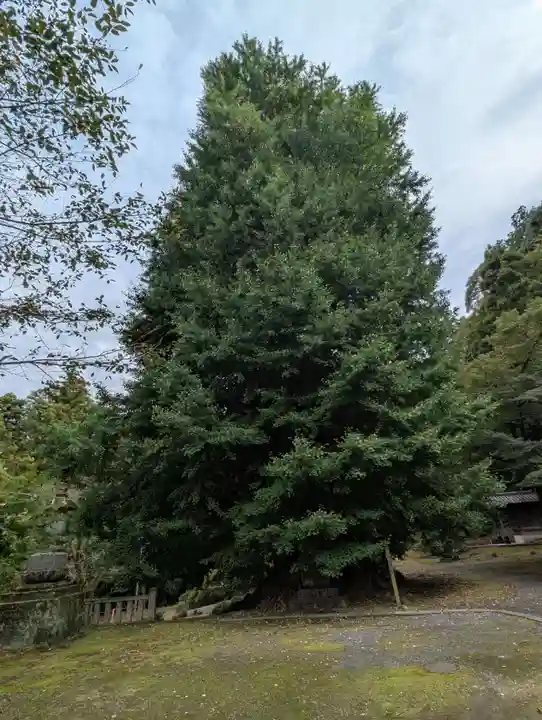 正法寺(埼玉県)