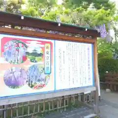 亀戸天神社(東京都)