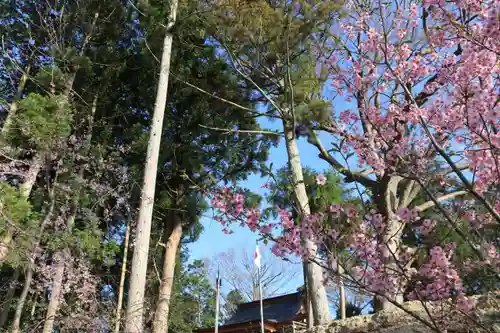 阿久津「田村神社」（郡山市阿久津町）旧社名：伊豆箱根三嶋三社の景色