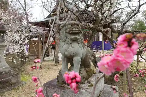 北野天満宮の狛犬