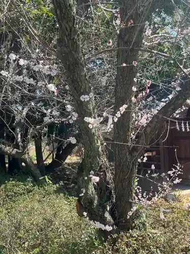 玉敷神社(埼玉県)