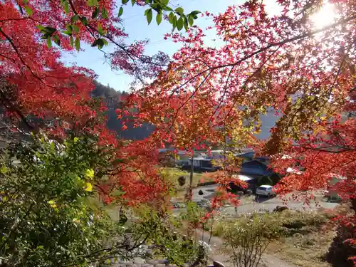 玉龍寺(岐阜県)