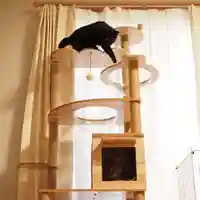 天王山 安楽寺(福井県)