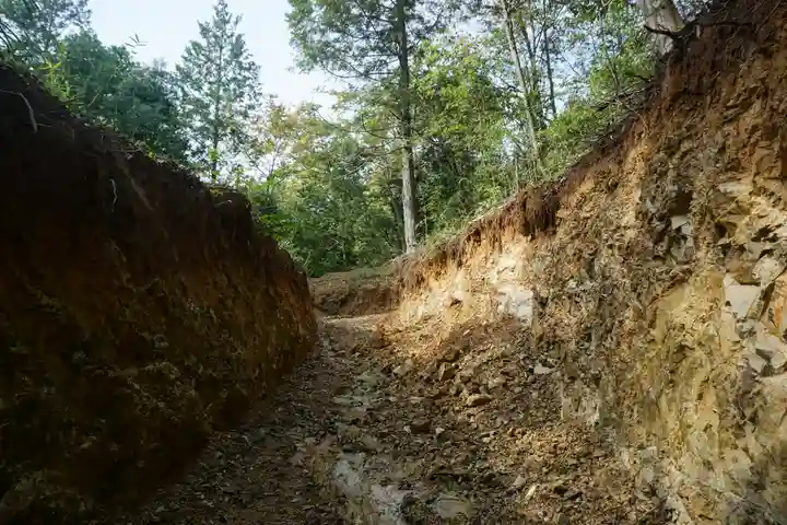 賀茂別雷神社の自然