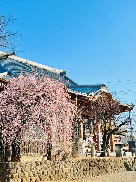 慈恩寺の{uncategorized: "未分類", other: "その他", undefined: "問題あり", building: "その他建物", grave: "お墓", sacred_gate: "鳥居", guardian: "狛犬", statue: "像", buddha: "仏像", history: "歴史", nature: "自然", garden: "庭園", animal: "動物", pagoda: "塔", temizu: "手水舎", mountain_gate: "山門・神門", sanctuary: "本殿・本堂", subordinate: "末社・摂社", art: "芸術", scenery: "景色", jizo: "地蔵", ema: "絵馬", goshuin: "御朱印", omikuji: "おみくじ", items: "授与品その他", amulet: "お守り", goshuincho: "御朱印帳", eats: "食事", festival: "お祭り", votive_dance: "神楽", shichigosan: "七五三参", wedding: "結婚式", experience: "体験その他", initially: "初詣", around: "周辺", anti_infection: "感染症対策"}