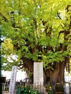 善福寺(東京都)