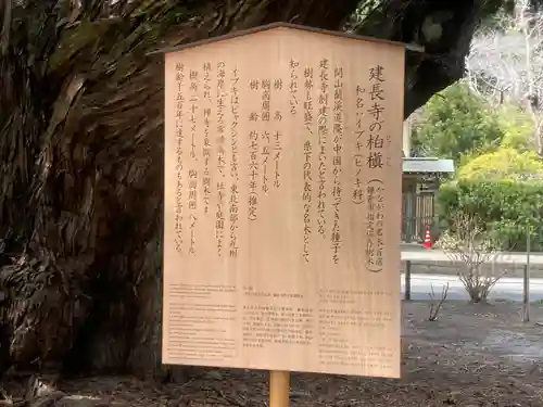 建長寺(神奈川県)