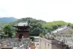 禅林寺のお墓