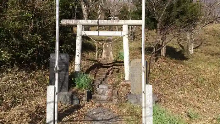 菊田神社の鳥居
