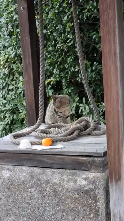 上品蓮台寺(京都府)