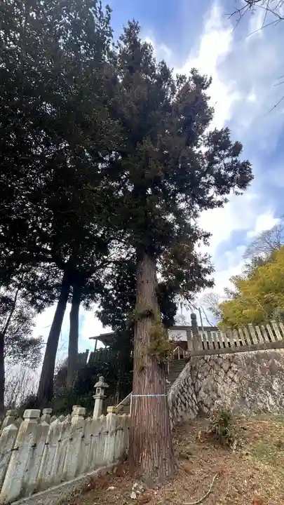 熊野神社(兵庫県)