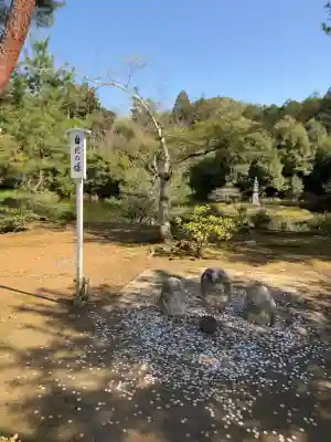 鹿苑寺（金閣寺）の{uncategorized: "未分類", other: "その他", undefined: "問題あり", building: "その他建物", grave: "お墓", sacred_gate: "鳥居", guardian: "狛犬", statue: "像", buddha: "仏像", history: "歴史", nature: "自然", garden: "庭園", animal: "動物", pagoda: "塔", temizu: "手水舎", mountain_gate: "山門・神門", sanctuary: "本殿・本堂", subordinate: "末社・摂社", art: "芸術", scenery: "景色", jizo: "地蔵", ema: "絵馬", goshuin: "御朱印", omikuji: "おみくじ", items: "授与品その他", amulet: "お守り", goshuincho: "御朱印帳", eats: "食事", festival: "お祭り", votive_dance: "神楽", shichigosan: "七五三参", wedding: "結婚式", experience: "体験その他", initially: "初詣", around: "周辺", anti_infection: "感染症対策"}
