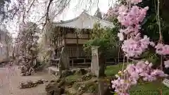 清雲寺の建物その他