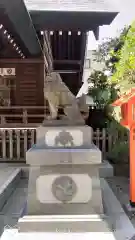 蔵前神社の狛犬