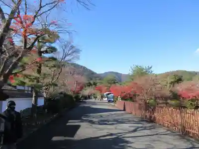 天龍寺(京都府)