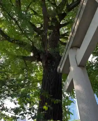 熊野神社(東京都)