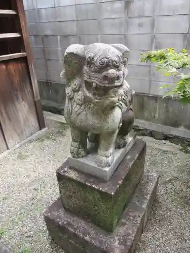 住吉神社の狛犬