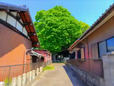 天宮神社（東野町）のその他建物