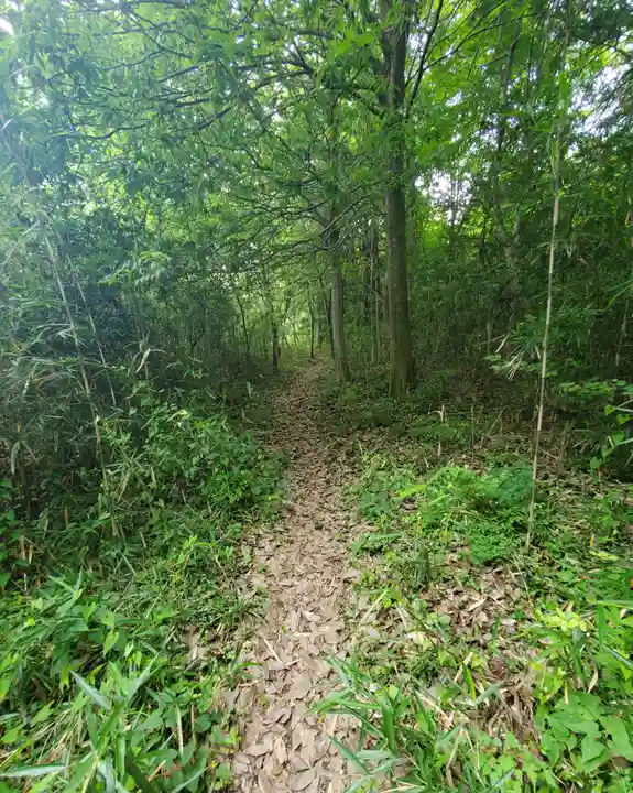 賀茂別雷神社(栃木県)