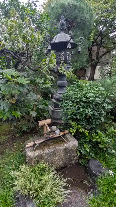 蓮光寺(京都府)