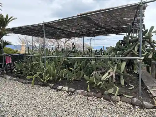 龍華寺(静岡県)