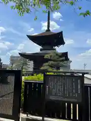 大樹寺（松安院大樹寺）(愛知県)