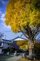 福島八幡宮(福岡県)