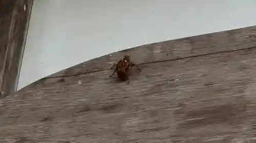 須岐神社(宮城県)