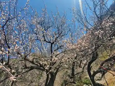 稲荷神社(借宿町)(栃木県)