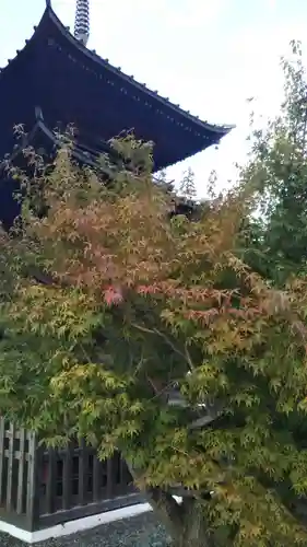 安樂寺の本殿・本堂