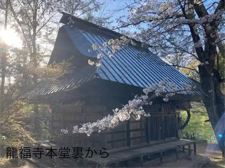 龍福寺 鳥羽堂観音(長野県)
